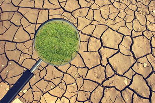 守护源头活水——云南多措并举打好长江上游污染防治攻坚战 筑牢土壤环境安全屏障