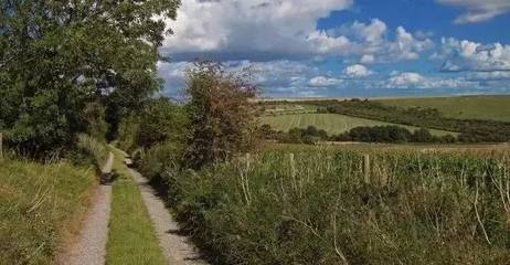 土壤环境污染治理的国际经验与防治服务体系建设