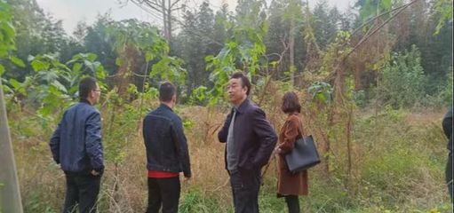 市环境攻坚办调研组深入浉河区开展耕地土壤污染防治专项调研